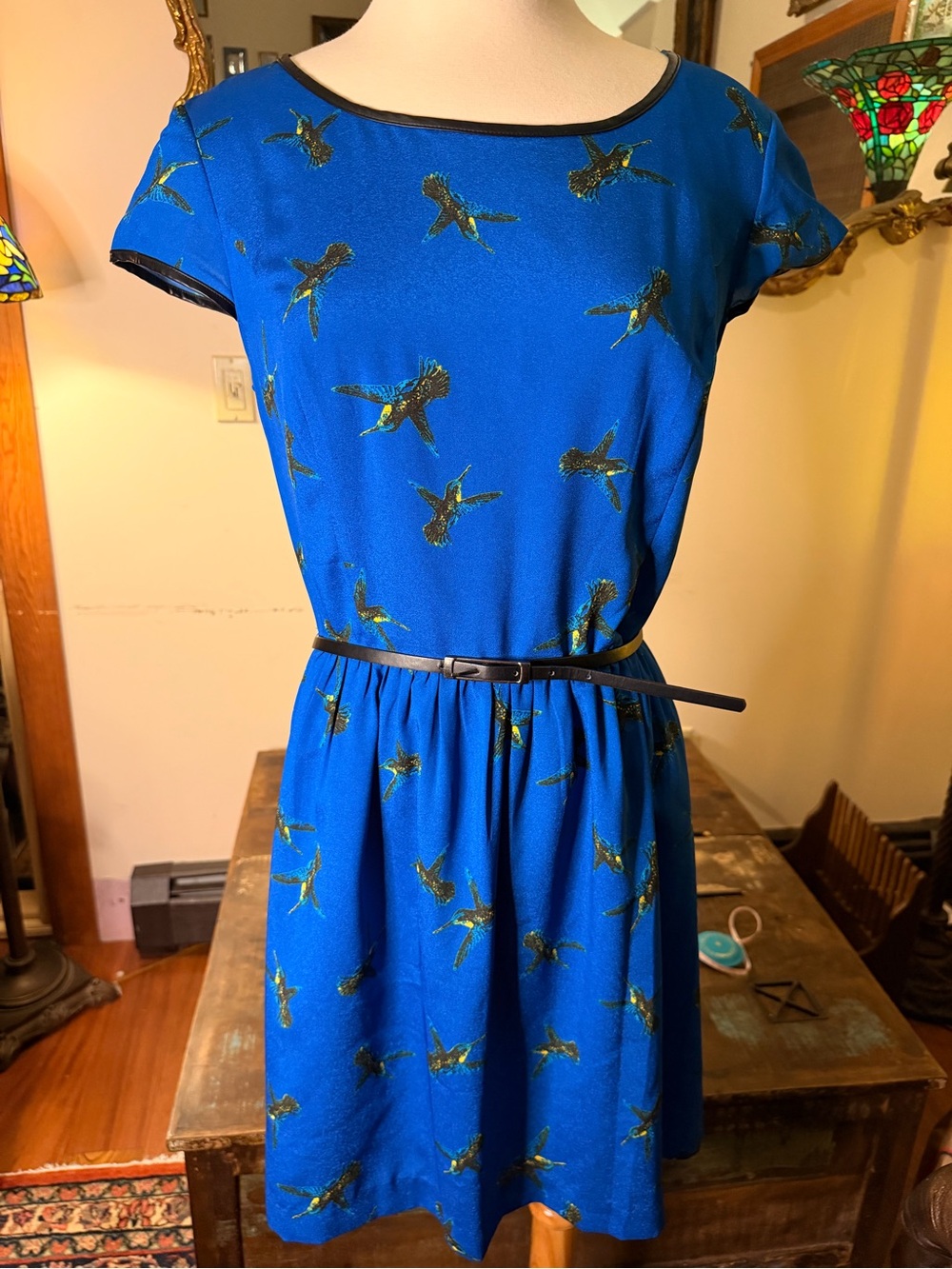 Kenzie Hummingbird Bird Print Fit & Flare Dress